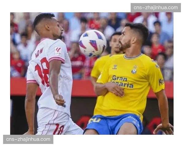 特写:绝杀被VAR判定无效后,拉斯帕尔马斯主帅在场边呆立良久 特写:绝杀被VAR判定无效后,拉斯帕尔马斯主帅在场边呆立良久